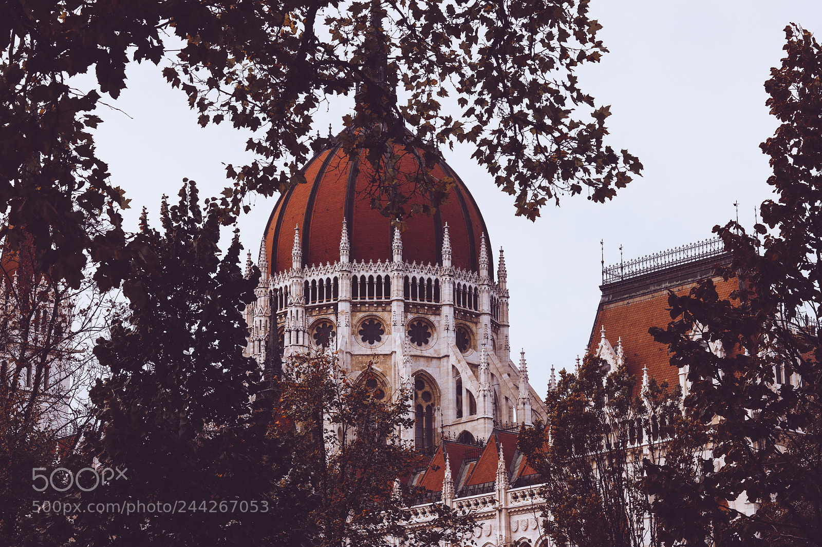 Canon EOS 760D (EOS Rebel T6s / EOS 8000D) sample photo. Parlament farbig photography