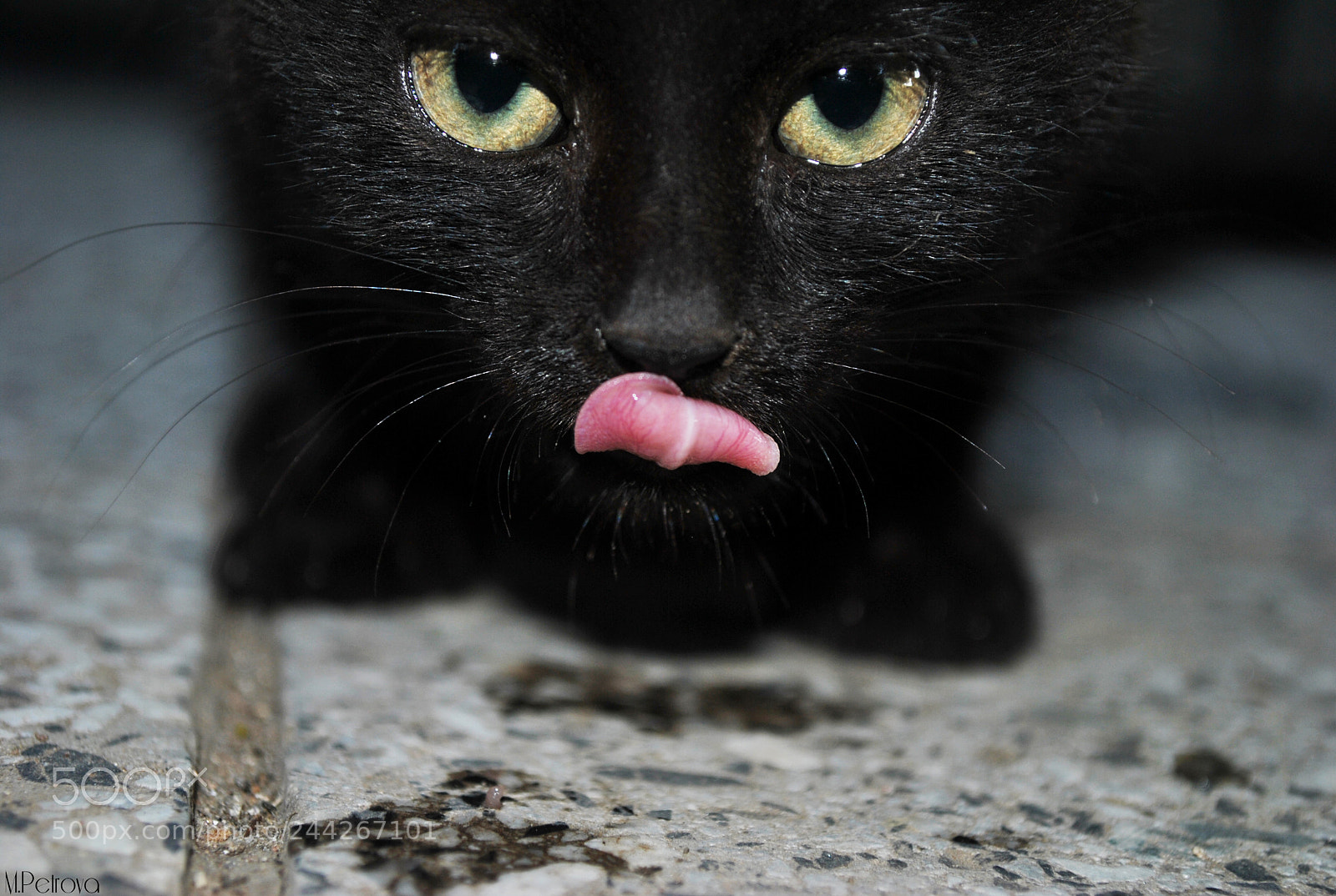 Nikon D3000 sample photo. Black as night photography