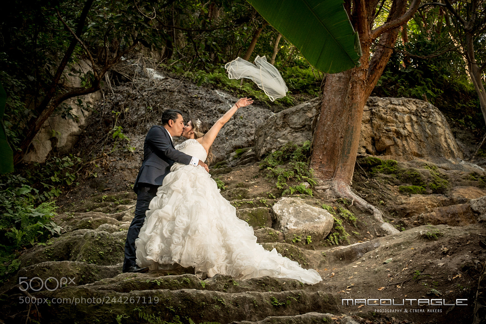 Nikon D7100 sample photo. Eyf photography
