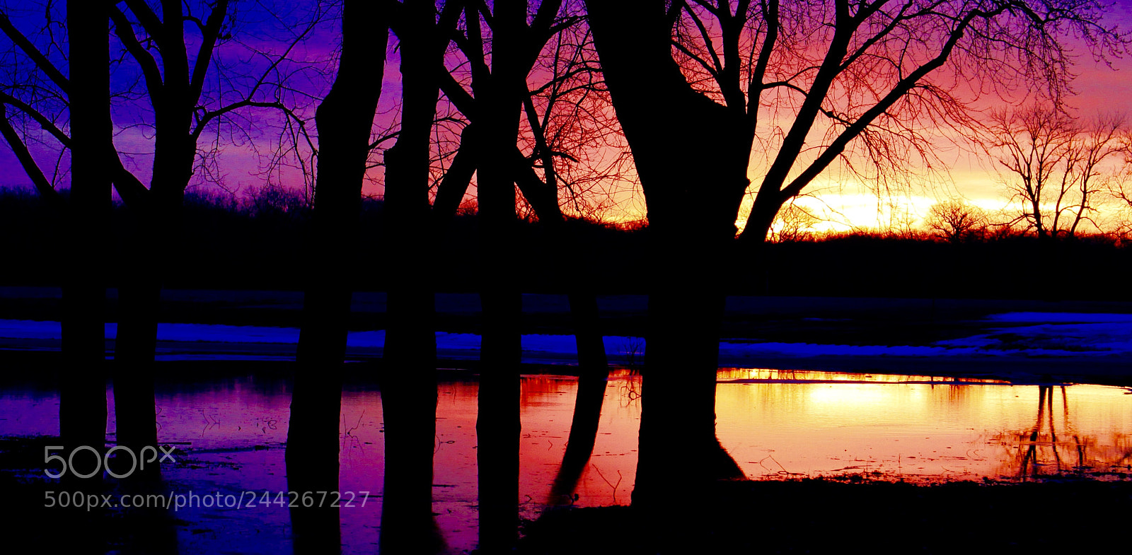 Canon EOS 50D sample photo. Sunset photography