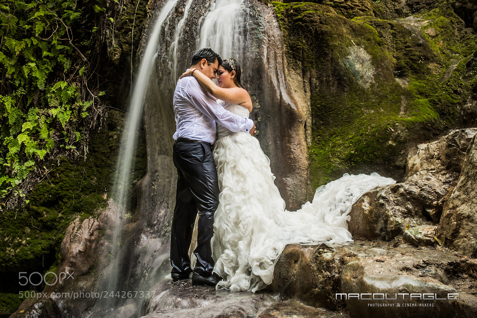 Nikon D7100 sample photo. Eyf photography