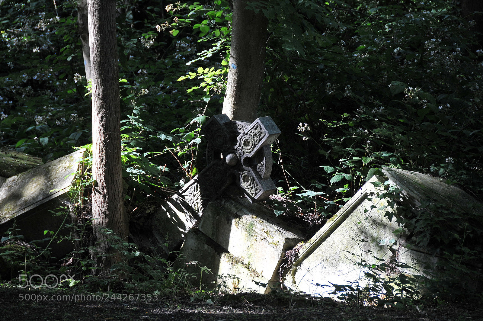 Nikon D300S sample photo. Nunhead cemetery, london photography