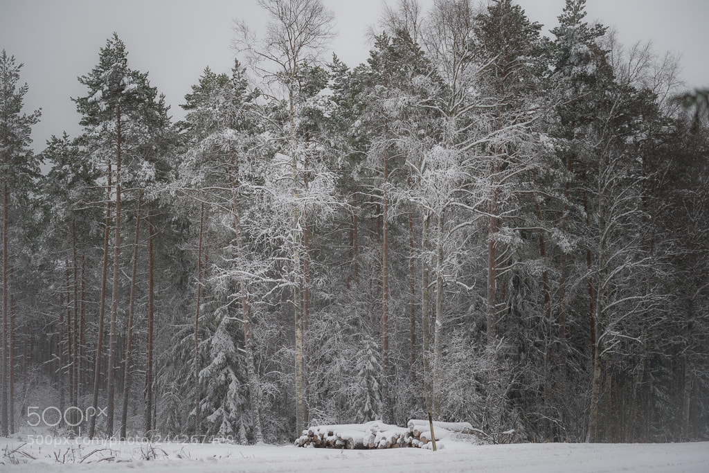 Sony a7 II sample photo. Winterscape photography