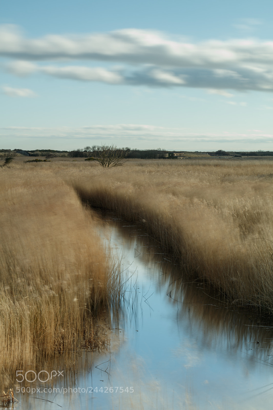 Canon EOS 5DS R sample photo. Minsmere photography