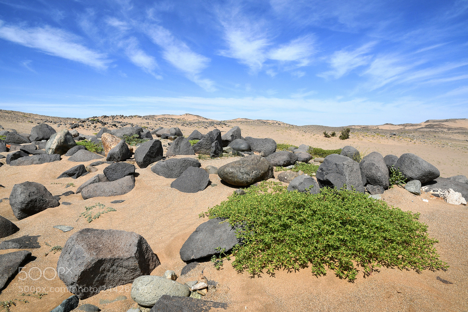Nikon D500 sample photo. Wadi rabigh photography