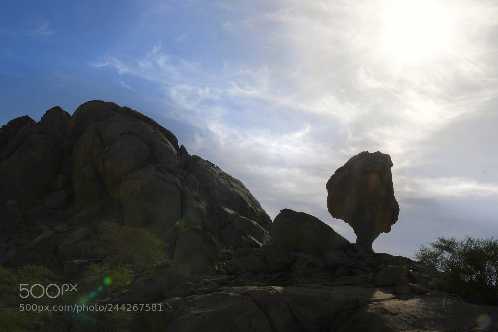 Nikon D500 sample photo. Wadi rabigh photography