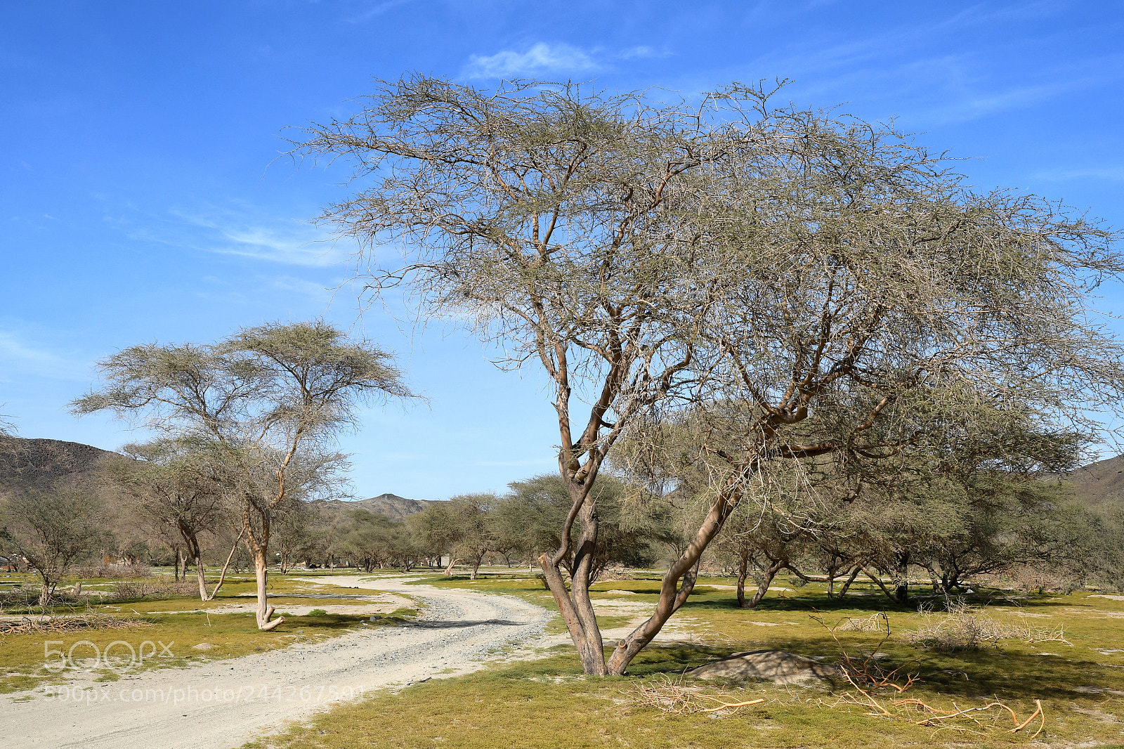 Nikon D500 sample photo. Wadi rabigh photography