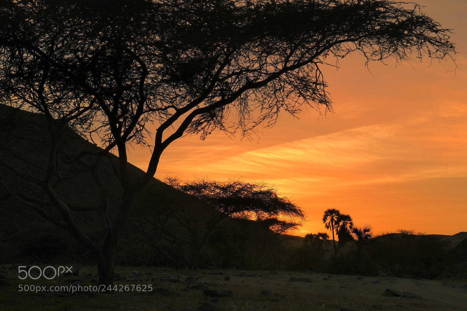Nikon D500 sample photo. Wadi rabigh photography