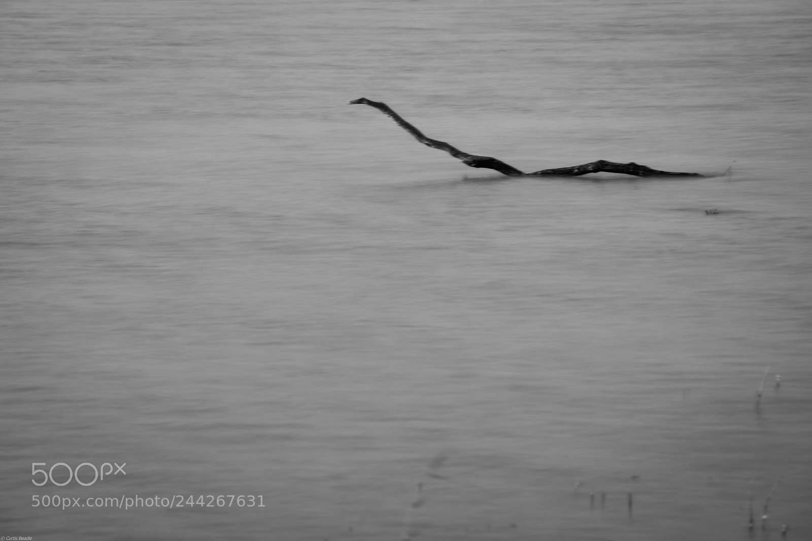 Canon EOS 5DS R sample photo. Minsmere photography