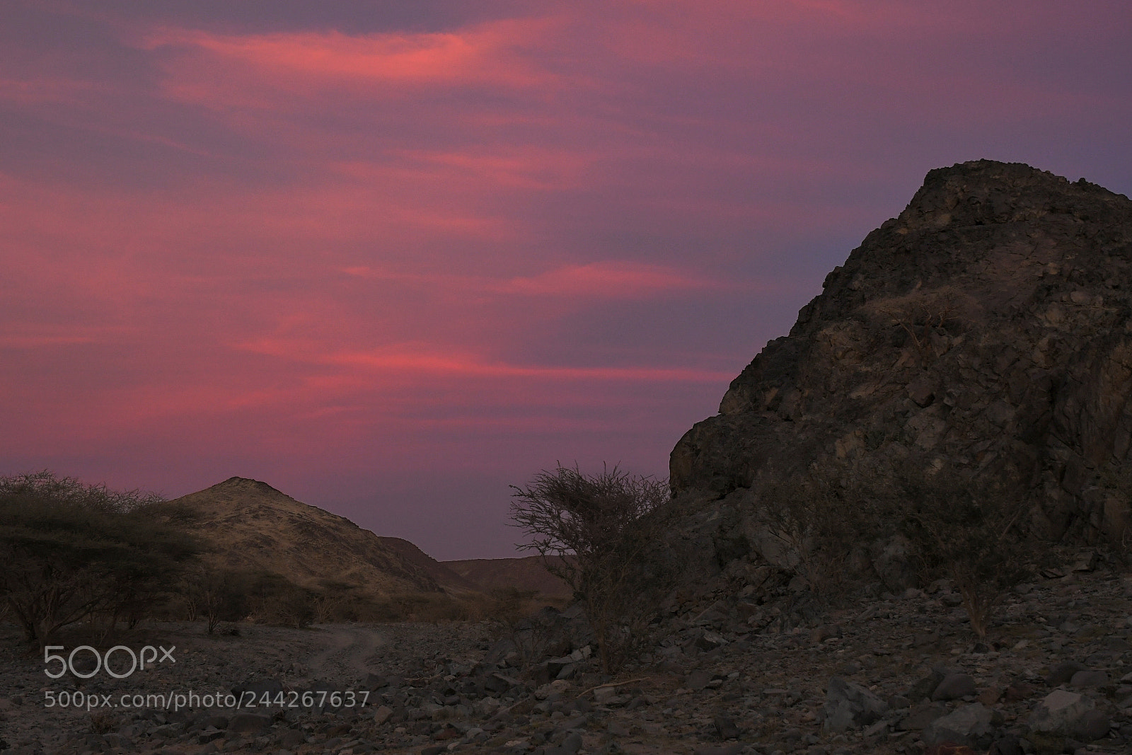 Nikon D500 sample photo. Wadi rabigh photography