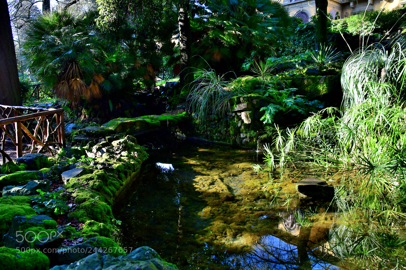 Nikon D500 sample photo. Nel parco photography