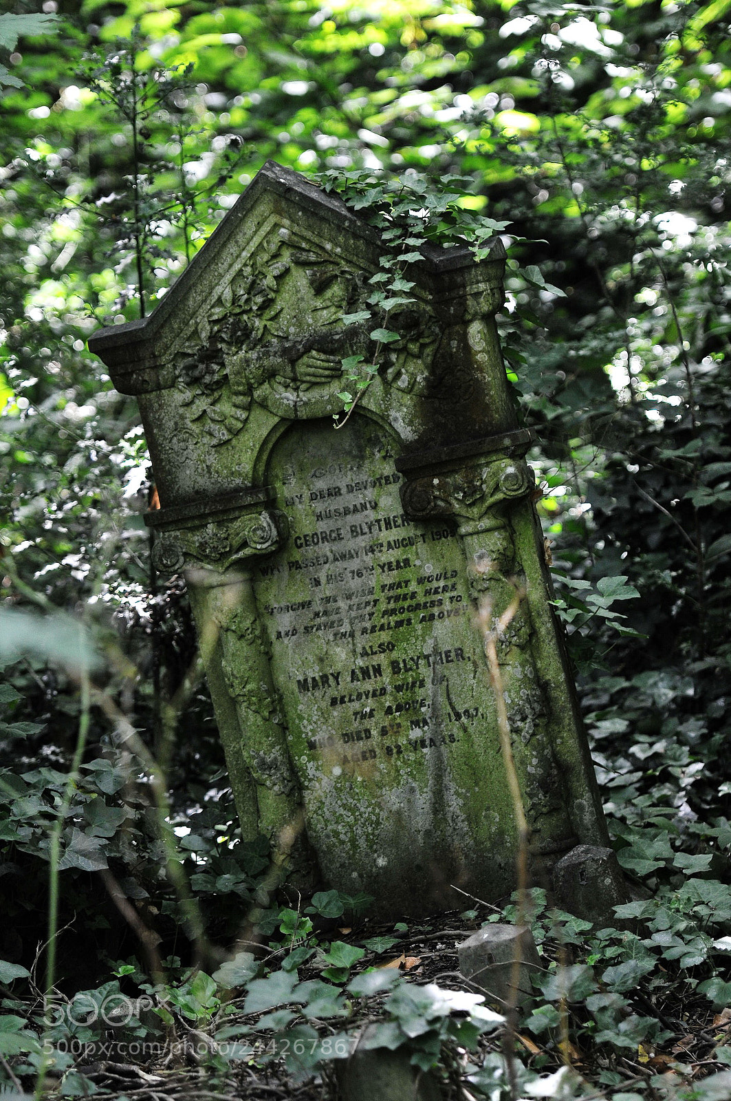 Nikon D300S sample photo. Nunhead cemetery, london photography