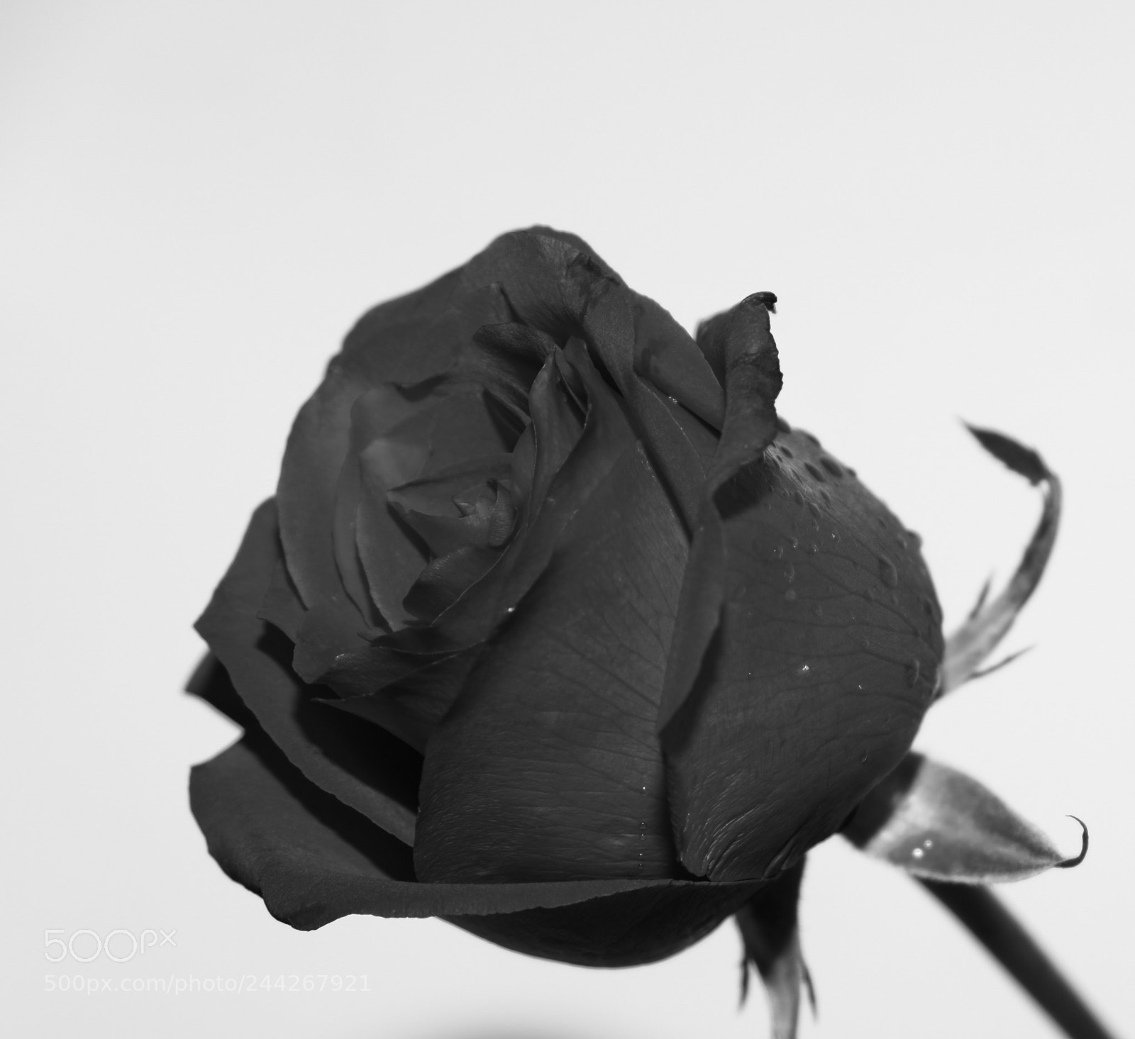 Fujifilm X-T2 sample photo. Untitled photography