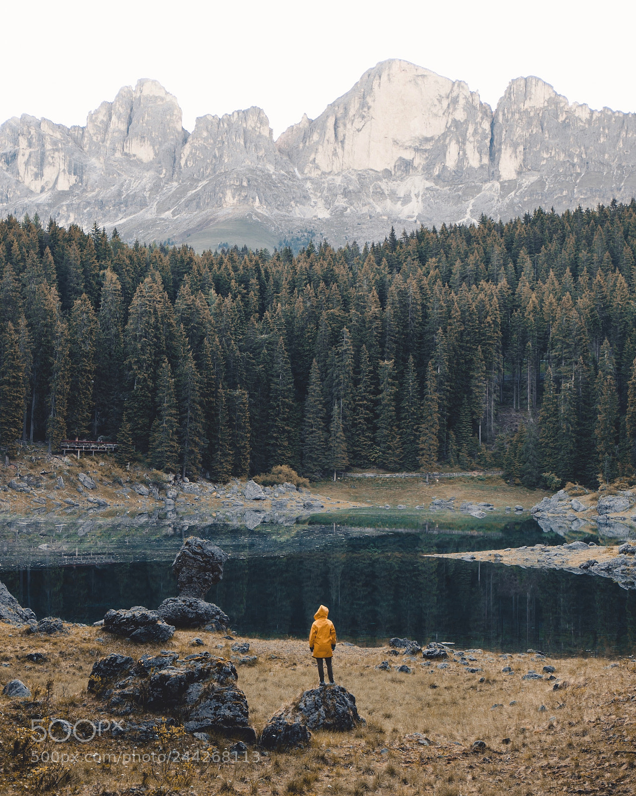 Nikon D500 sample photo. Dolomites. photography