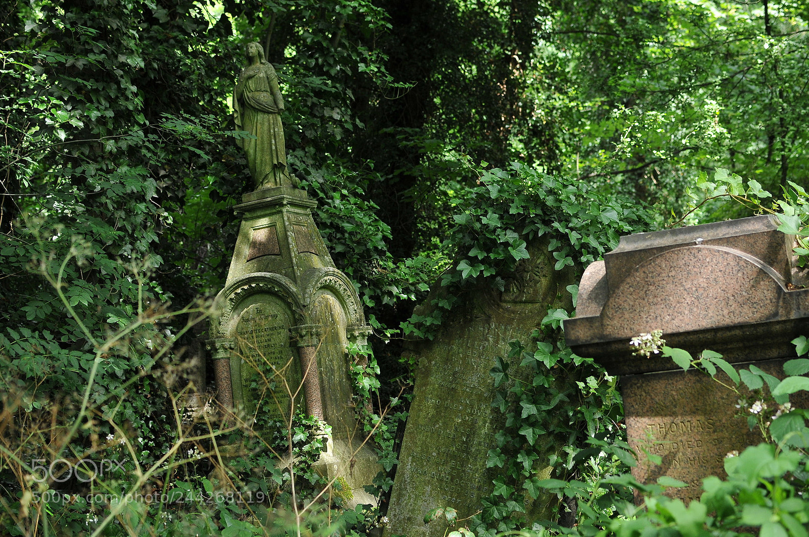 Nikon D300S sample photo. Nunhead cemetery, london photography