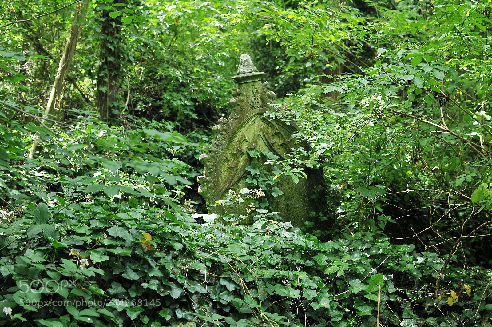 Nikon D300S sample photo. Nunhead cemetery, london photography