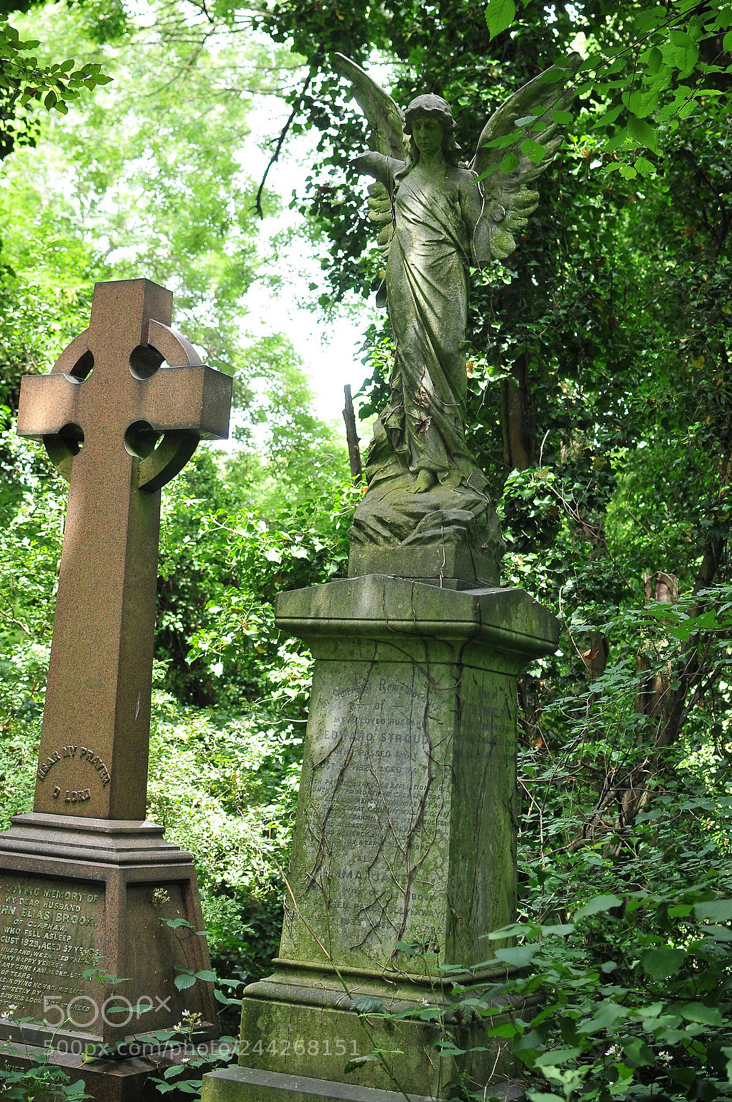 Nikon D300S sample photo. Nunhead cemetery, london photography
