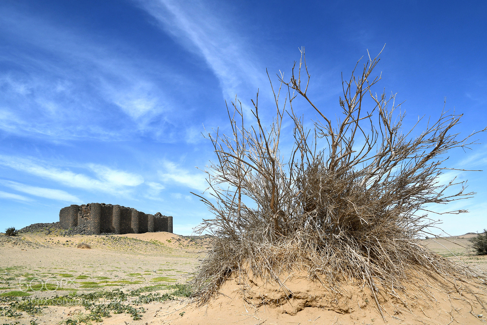 Nikon D500 sample photo. Al alya fortress photography