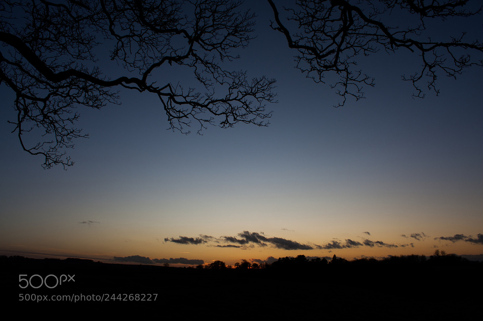 Canon EOS 40D sample photo. Belvoir sunset...... photography