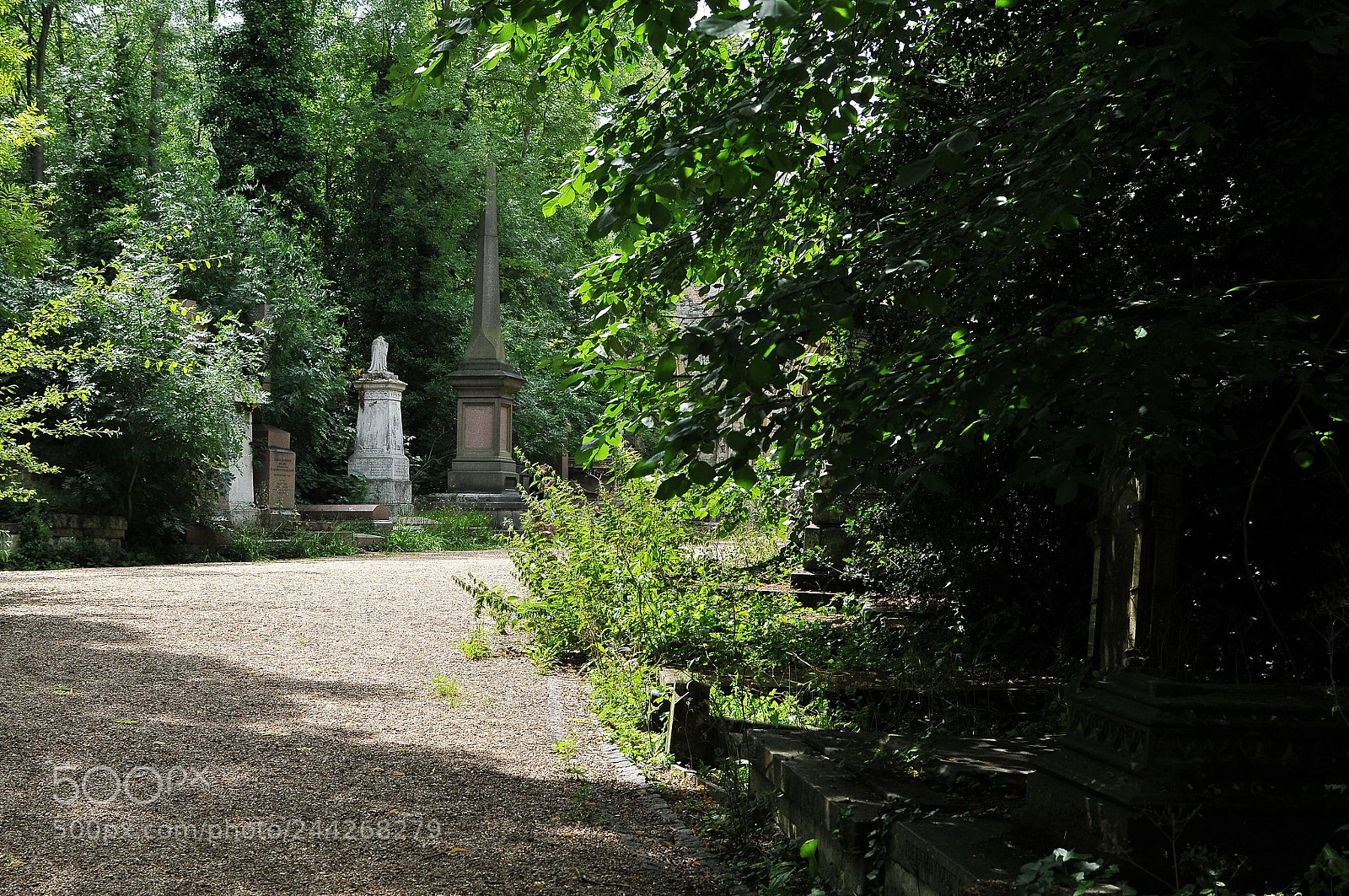 Nikon D300S sample photo. Nunhead cemetery, london photography