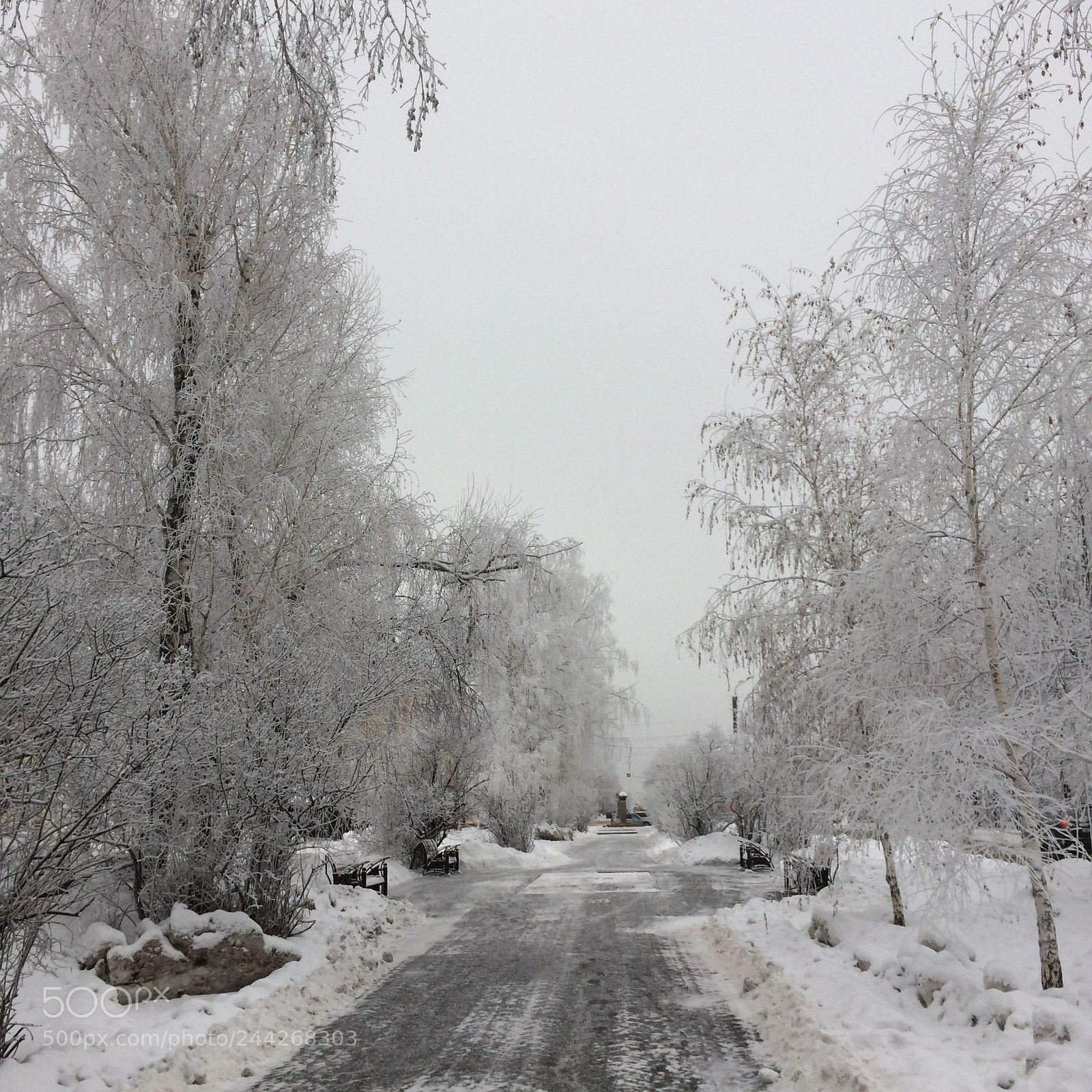 Apple iPhone 5s sample photo. Untitled photography
