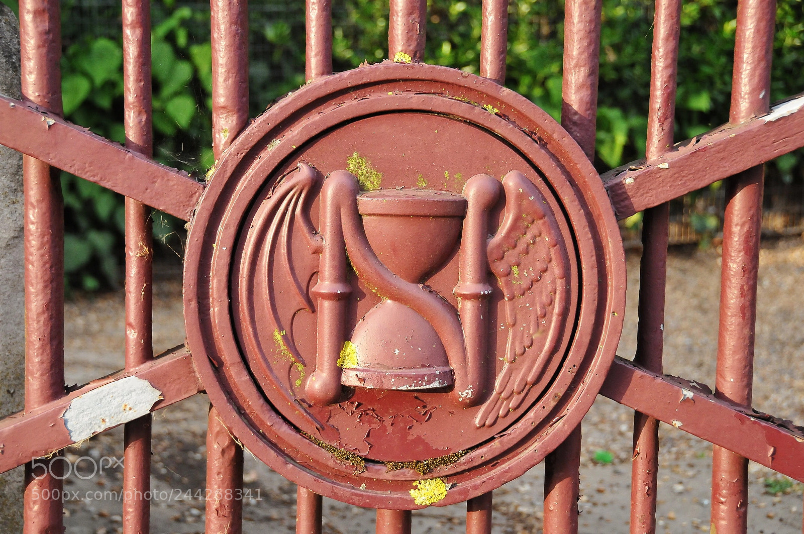 Nikon D300S sample photo. Nunhead cemetery, london photography
