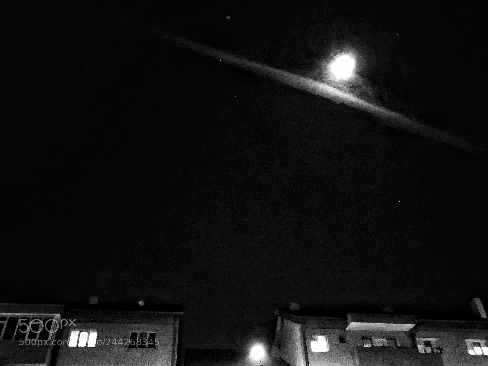 Apple iPhone 8 Plus sample photo. Untitled photography