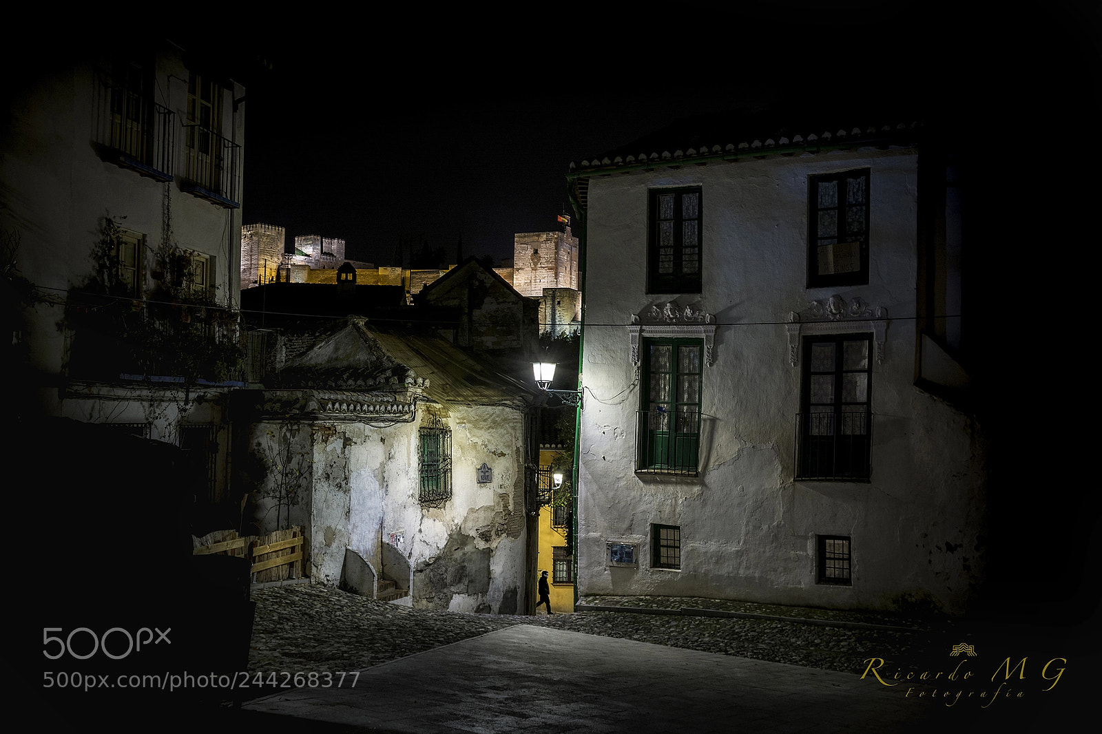Nikon D7100 sample photo. Nocturna photography