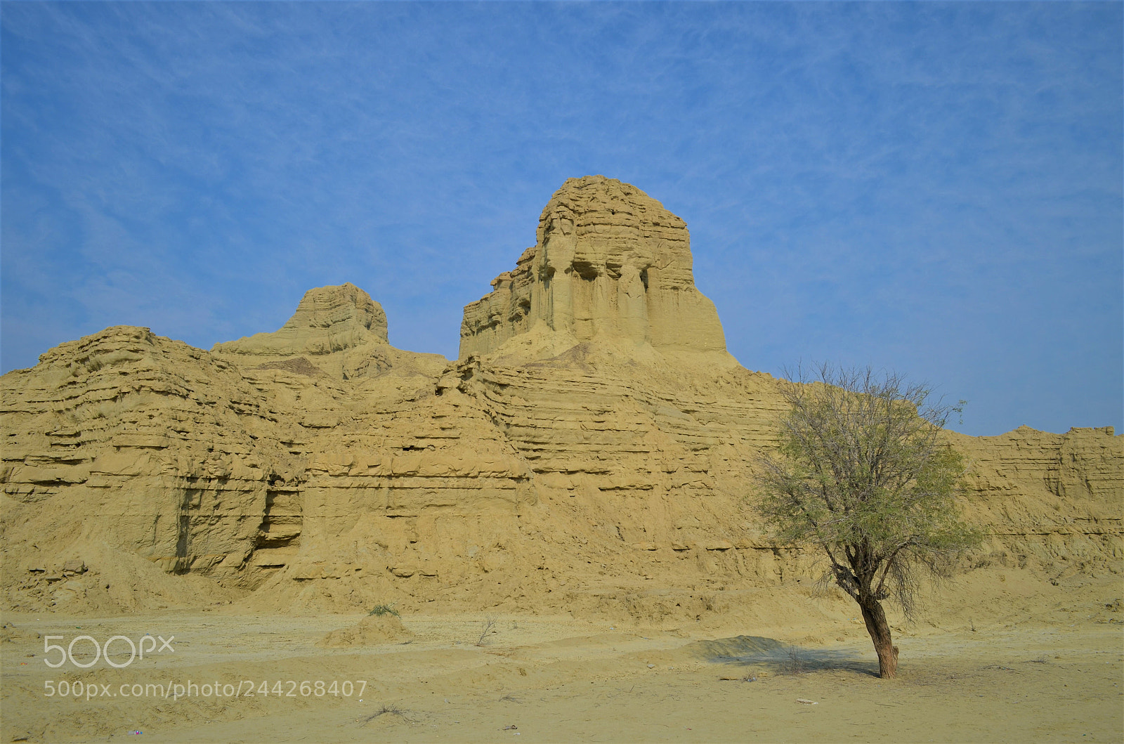 Nikon D5100 sample photo. Untitled photography