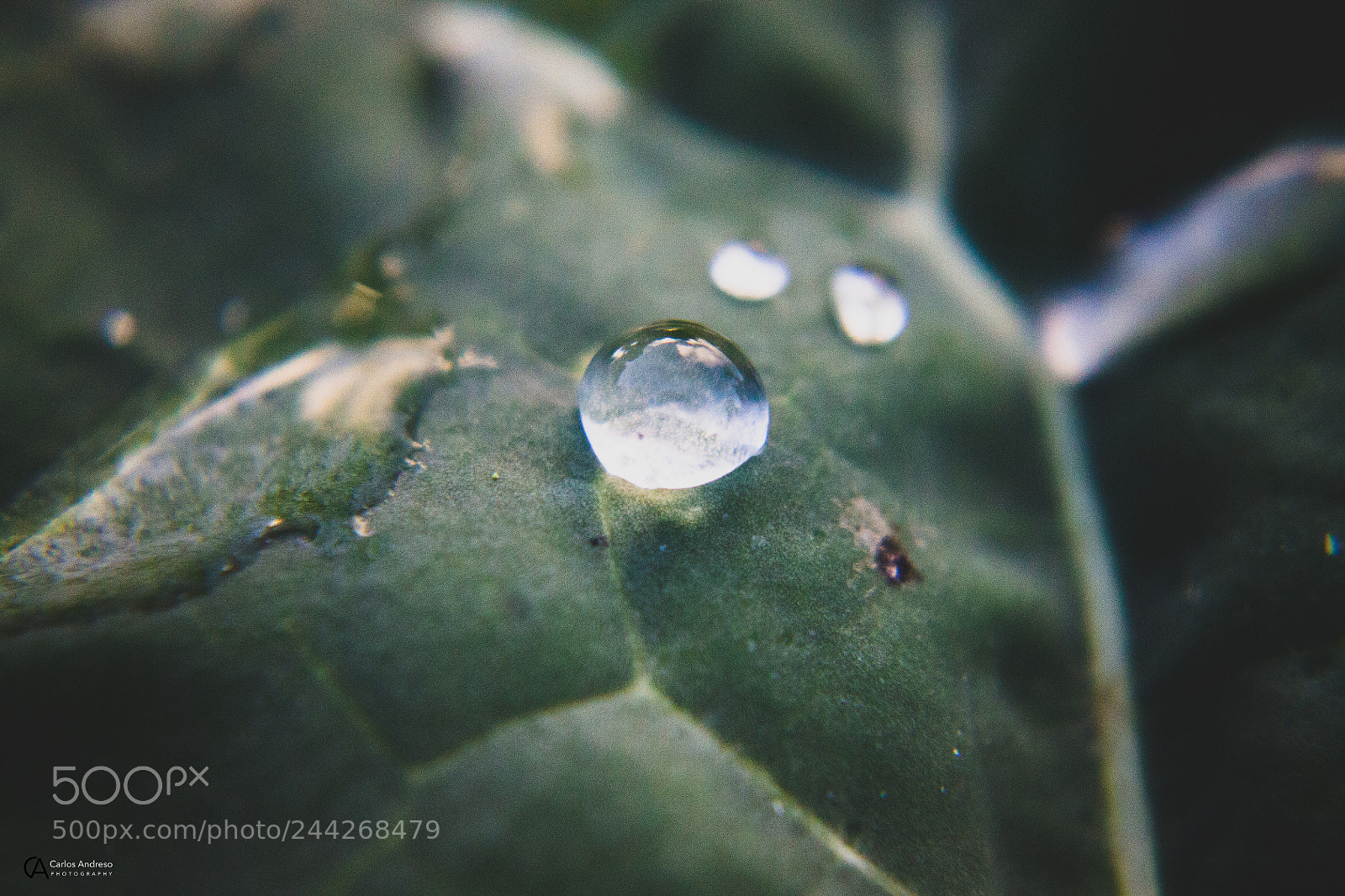 Canon EOS 1100D (EOS Rebel T3 / EOS Kiss X50) sample photo. Water drop photography