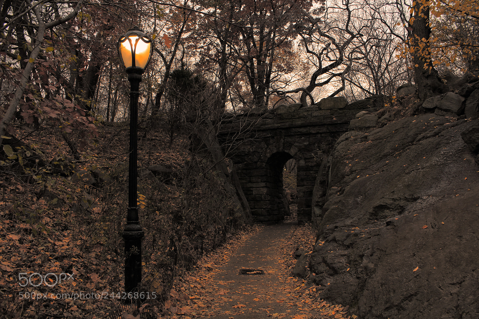 Canon EOS 1200D (EOS Rebel T5 / EOS Kiss X70 / EOS Hi) sample photo. Central park photography