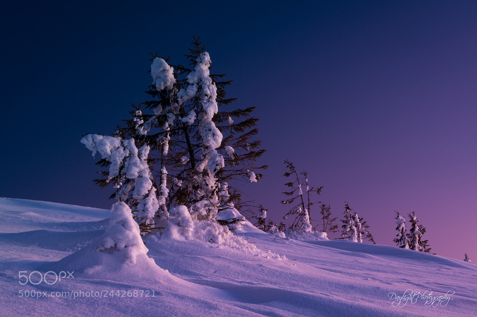 Nikon D7100 sample photo. Snowy hill photography