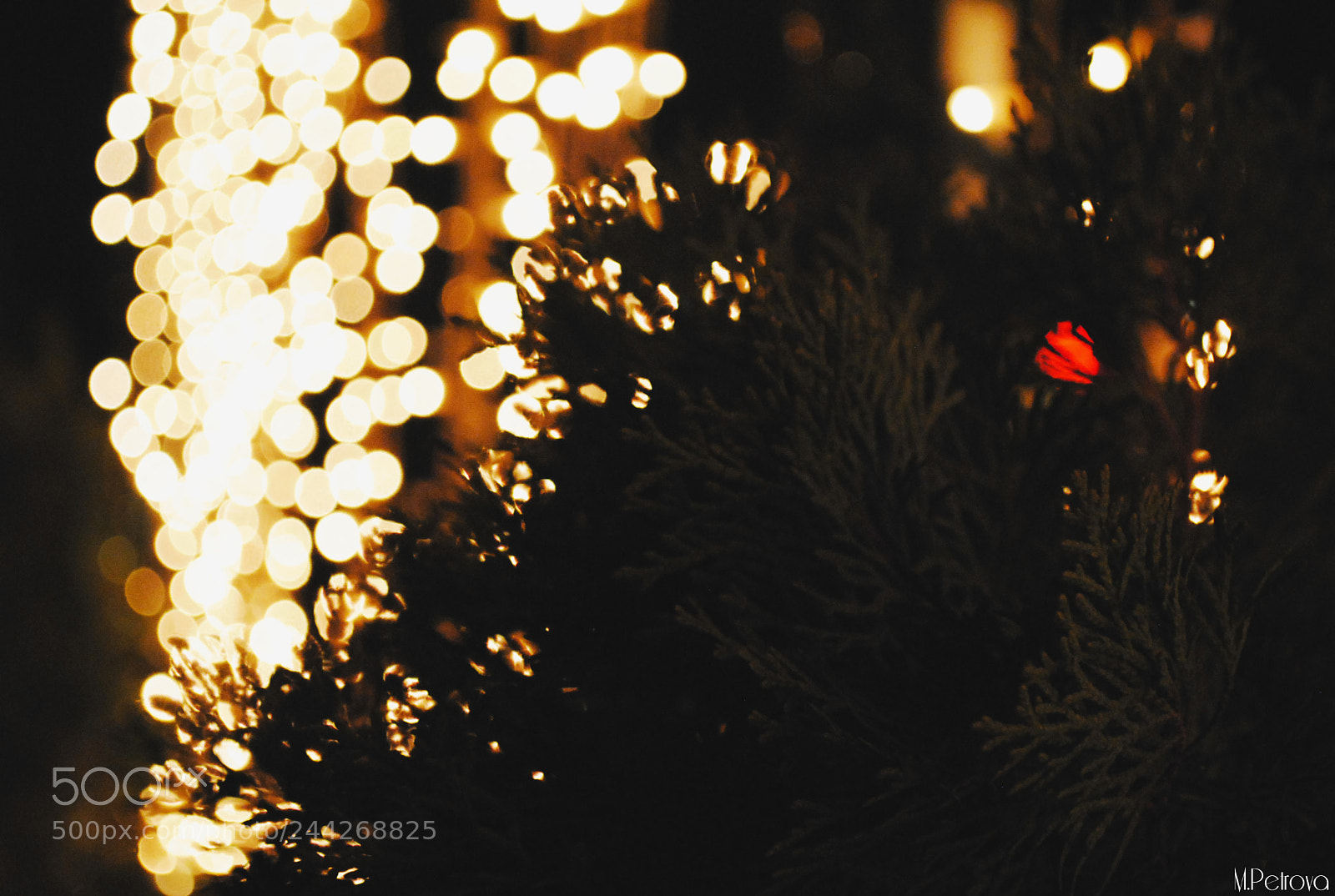 Nikon D3000 sample photo. Christmas lights photography