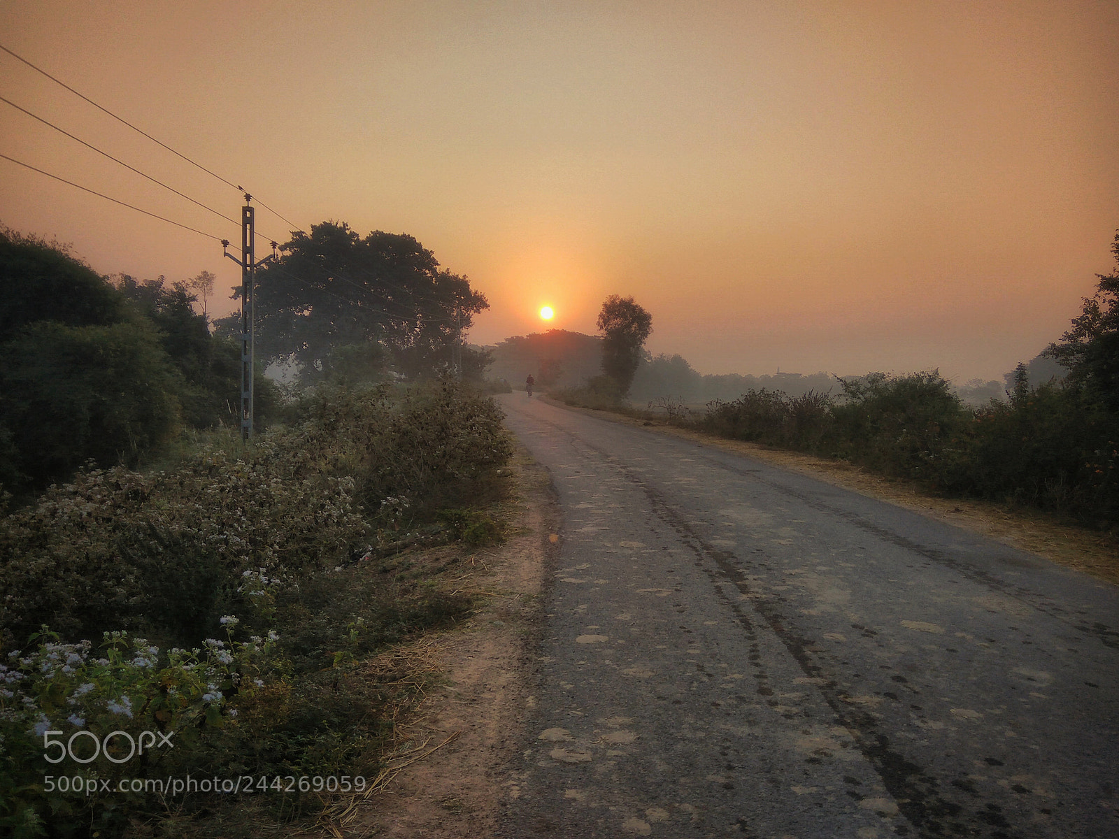 Xiaomi Redmi Note3 sample photo. #my_pic(om) photography