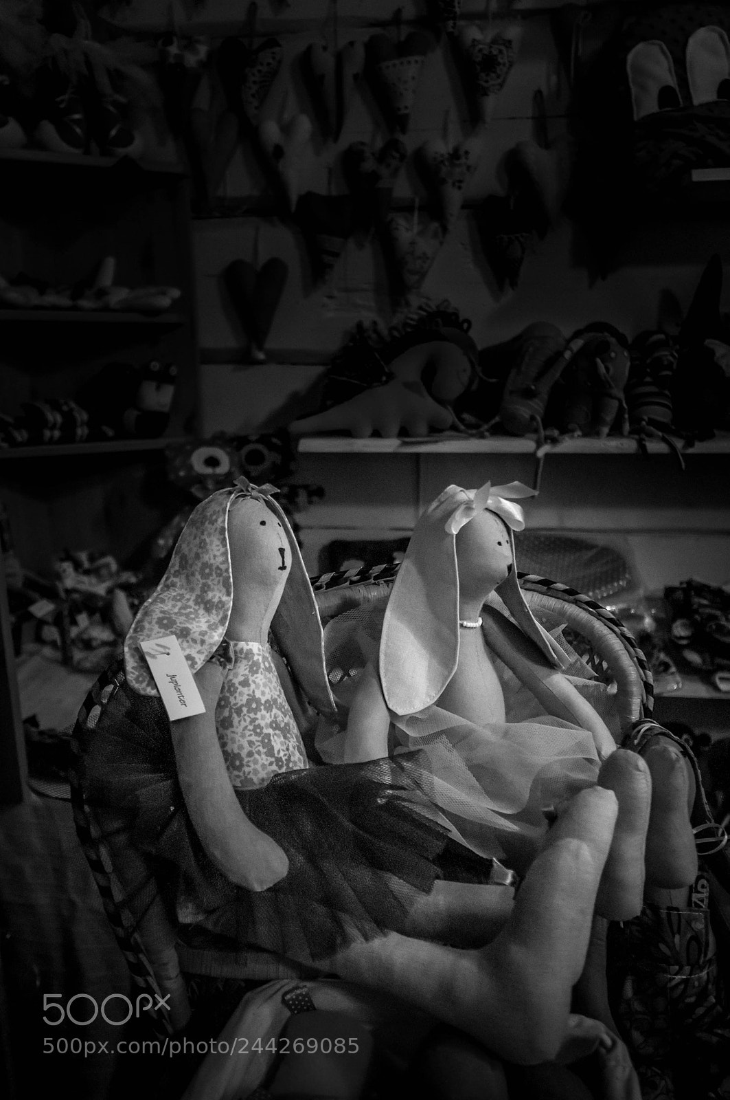 Nikon D90 sample photo. B&w photography