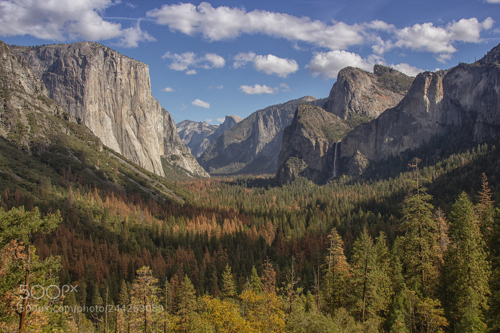 Canon EOS 60D sample photo. Yosemite valley photography