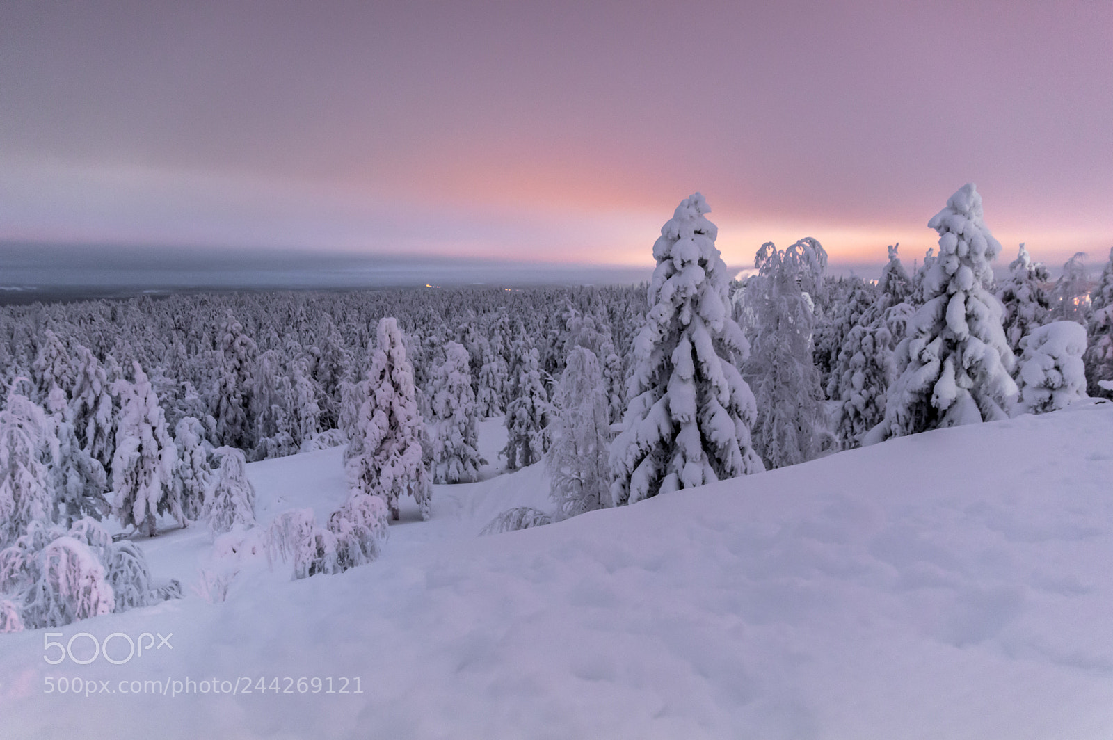 Pentax K-3 sample photo. Winter forest at night photography