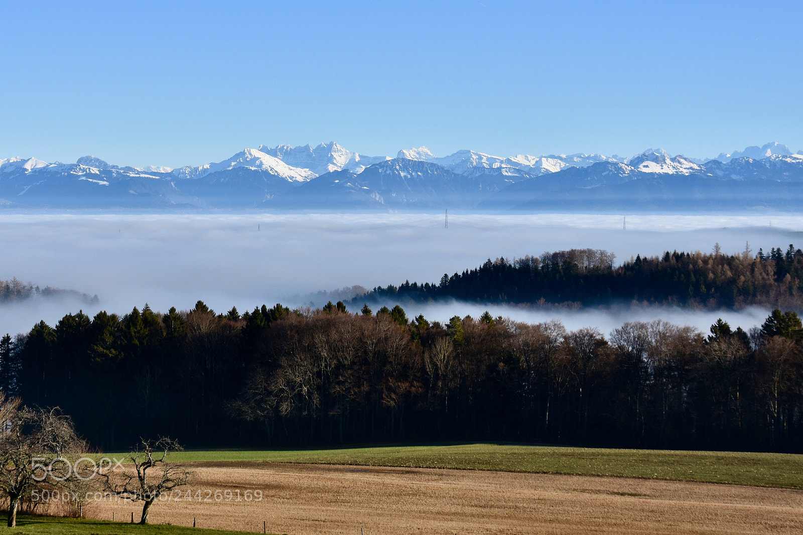 Nikon D7200 sample photo. Over the fog photography