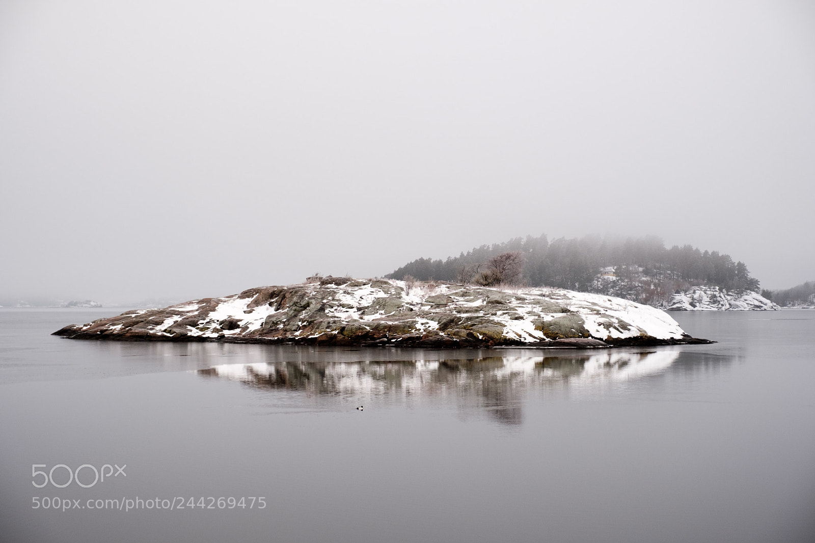 Fujifilm X-T2 sample photo. Misty january morning photography