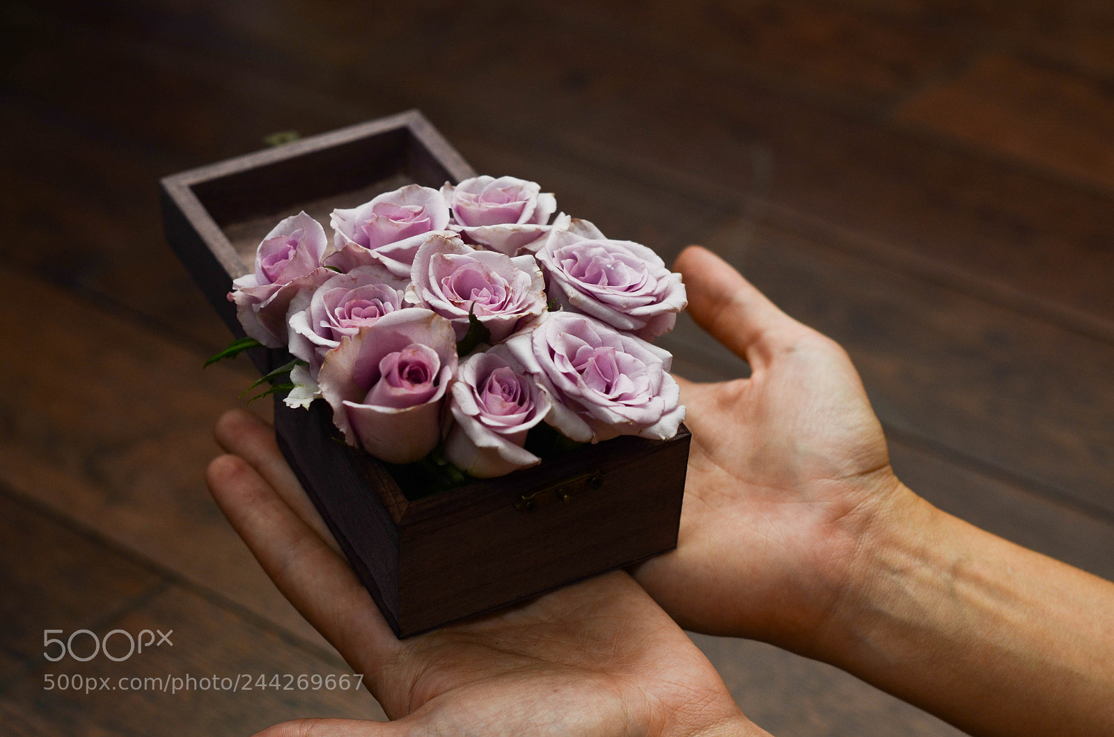 Nikon D5100 sample photo. Roses for you photography