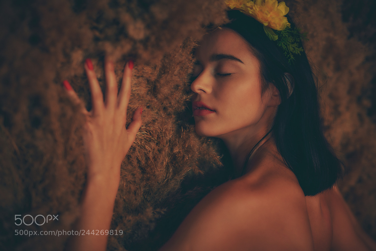 Nikon D610 sample photo. Polina barenfeld 1 photography