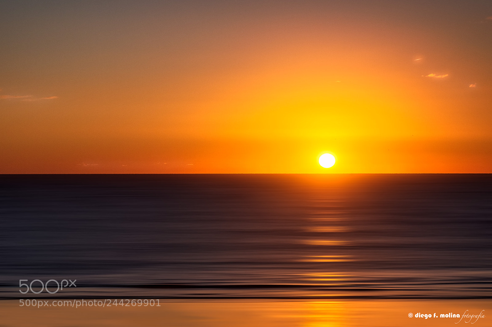 Nikon D3200 sample photo. Regalos de la naturaleza photography