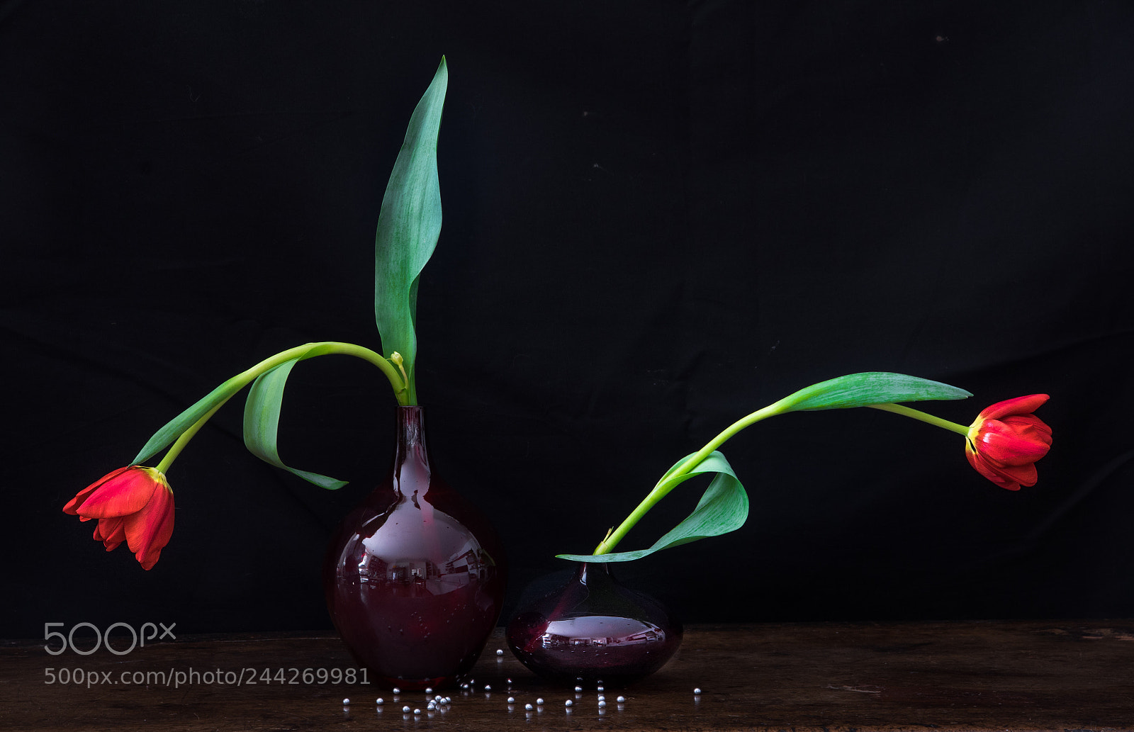 Sony a7R sample photo. Red tulips photography