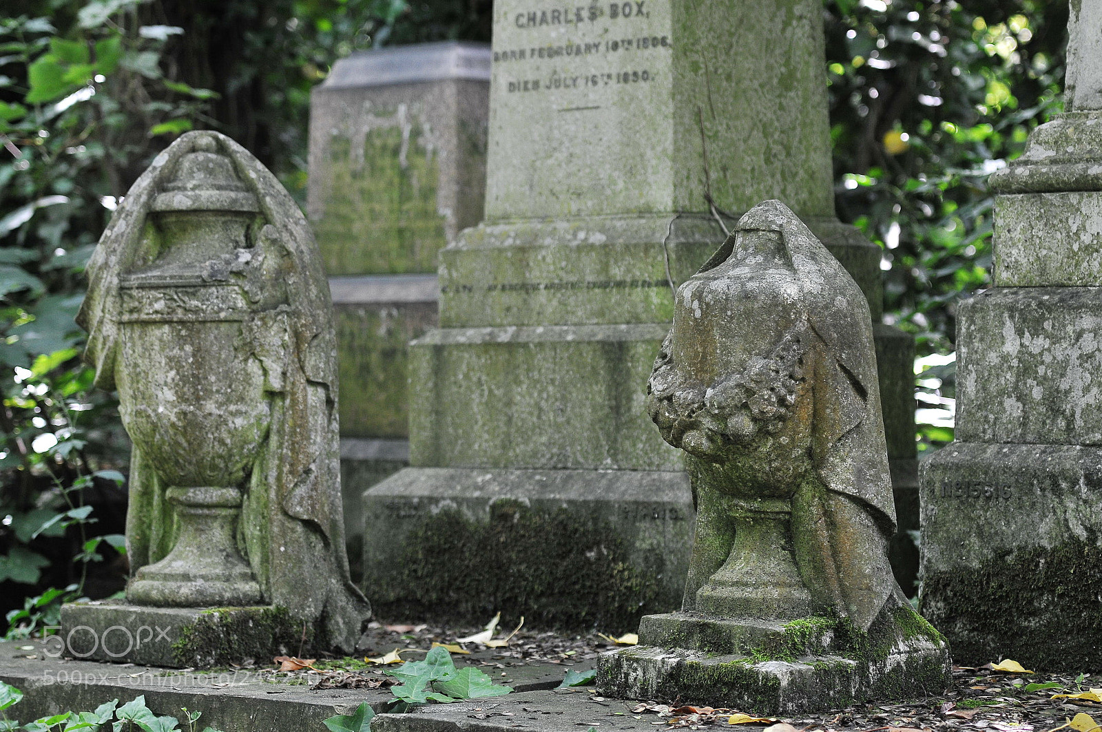 Nikon D300S sample photo. Nunhead cemetery, london photography