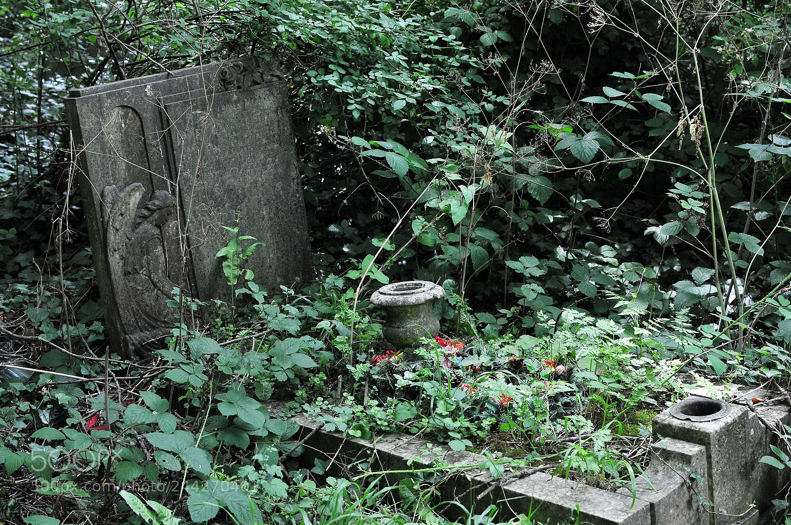Nikon D300S sample photo. Nunhead cemetery, london photography