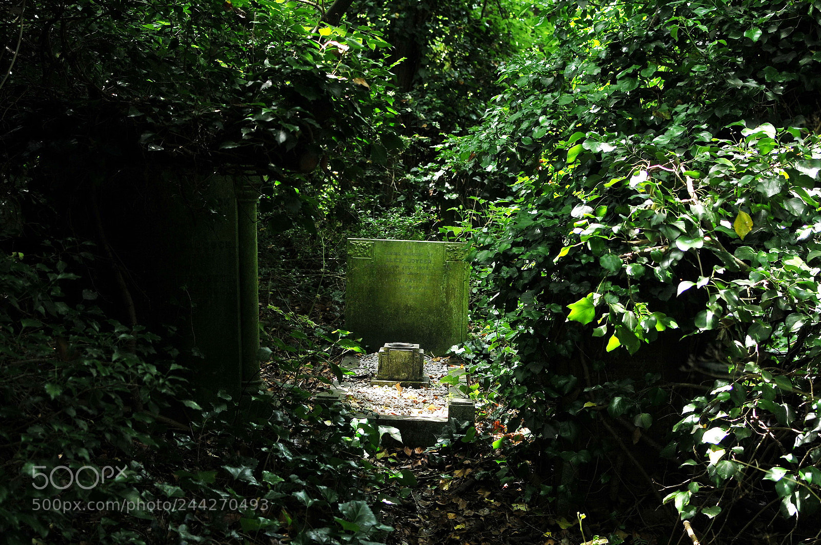 Nikon D300S sample photo. Nunhead cemetery, london photography
