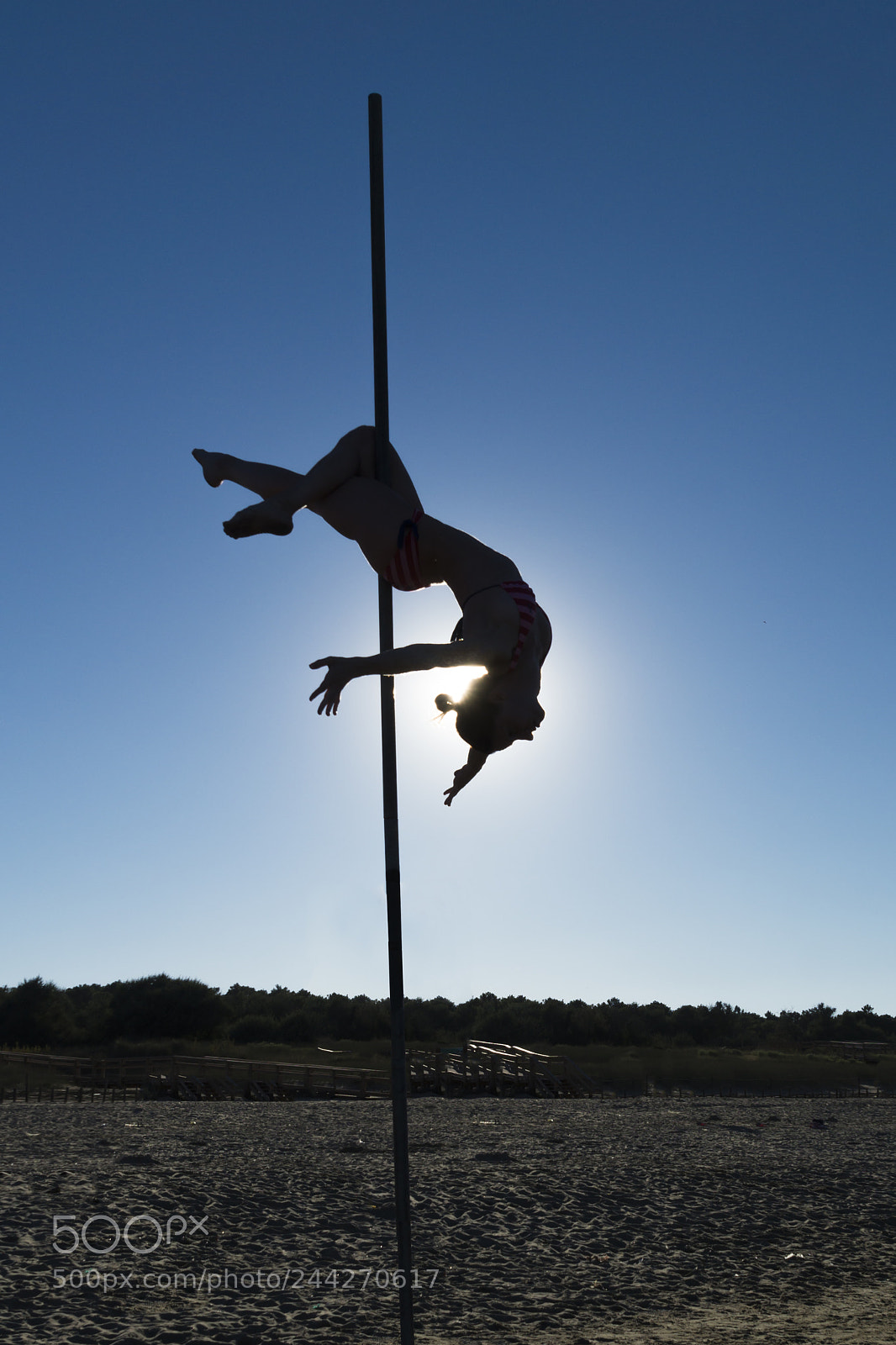 Sony SLT-A58 sample photo. Sara in una pole photography