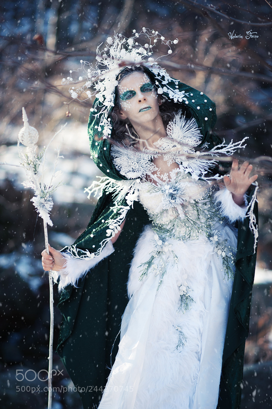Nikon D700 sample photo. The lady of winter photography