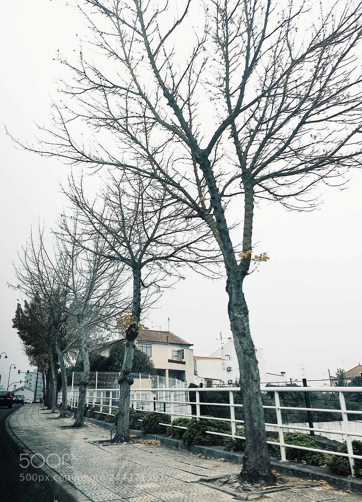 Apple iPhone 5s sample photo. Winter ?❄️ photography