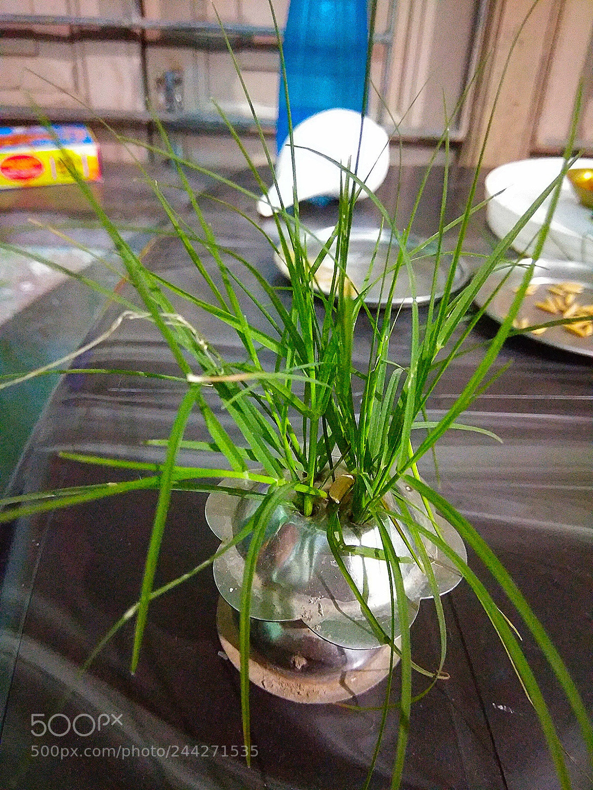 Xiaomi Redmi Note 4 sample photo. When i don't have photography